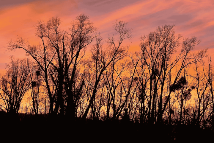 How to find more resilience and emotional stability with yoga