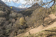 Naturbild Spätherbst aufgenommen im Malcantone Tessin